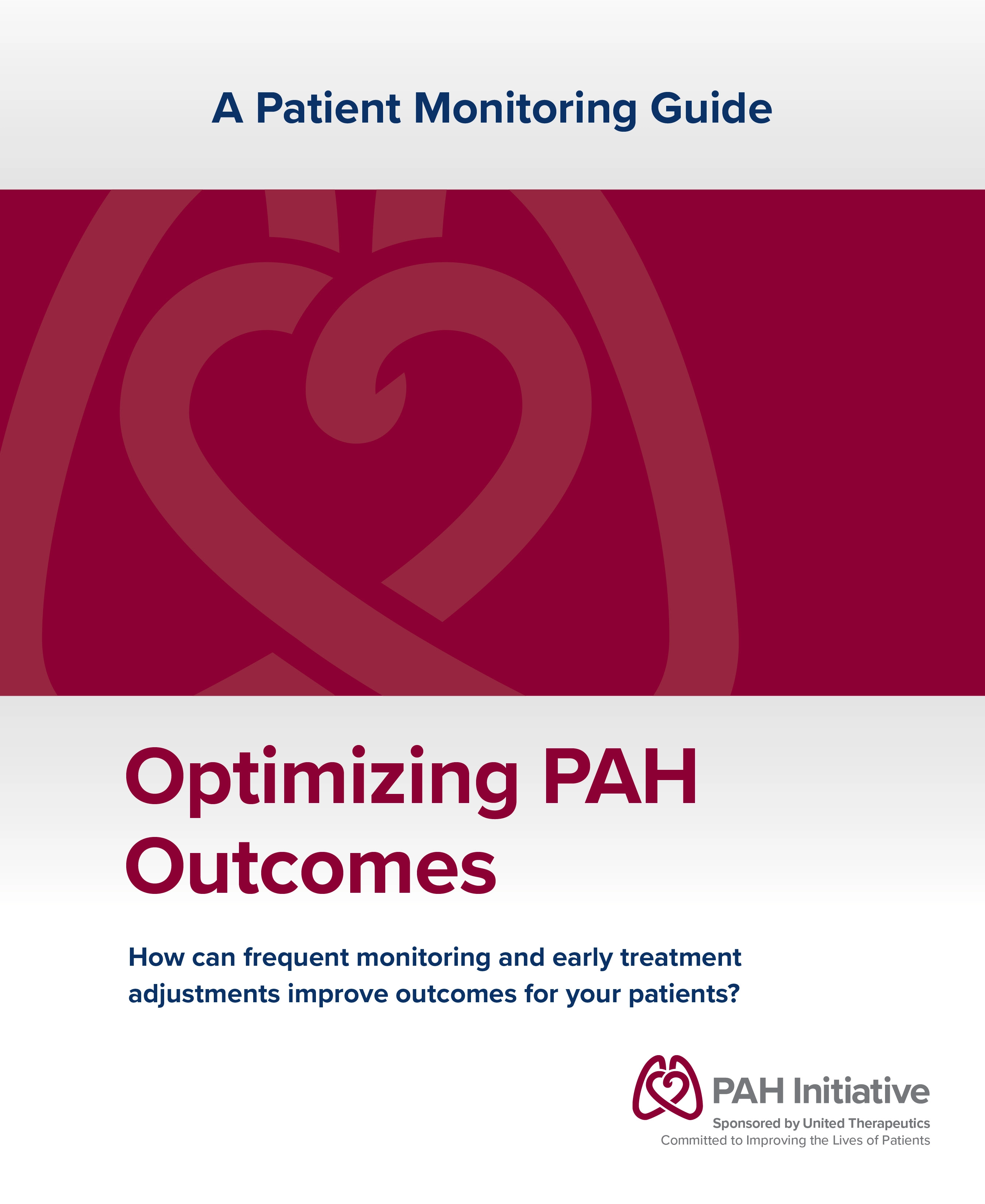 PAH Initiative Monitoring Guide