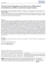 Virtual echocardiography screening tool to differentiate hemodynamic profiles in pulmonary hypertension thumbnail
