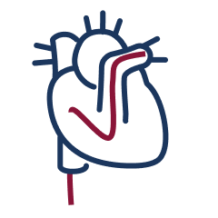 Heart icon
