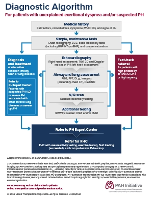Diagnostic algorithm based on current PAH guidelines