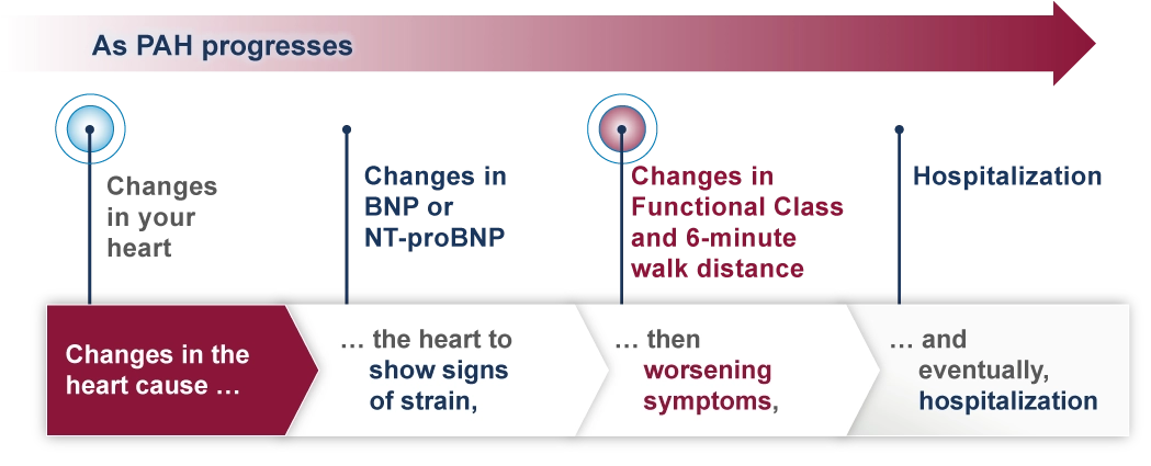 Table shows that in PAH, changes in the heart precede other changes leading to hospitalization