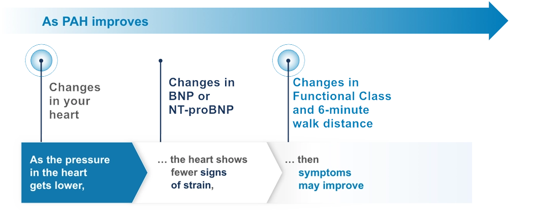 Table shows that in PAH, the improvements to the heart and symptoms that can occur with treatment