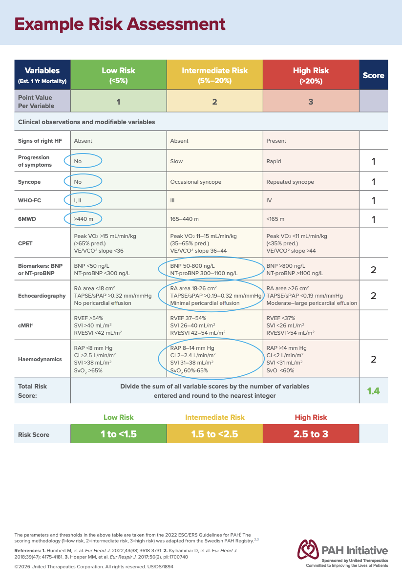 Sample risk assessment to facilitate patient and HCP conversations about risk