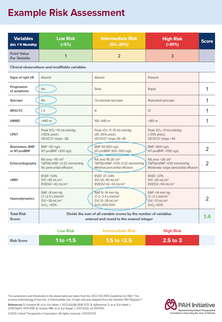 Sample risk assessment to facilitate patient and HCP conversations about risk