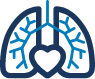 Lung and heart blood vessels icon