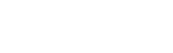 PAH Initiative logo