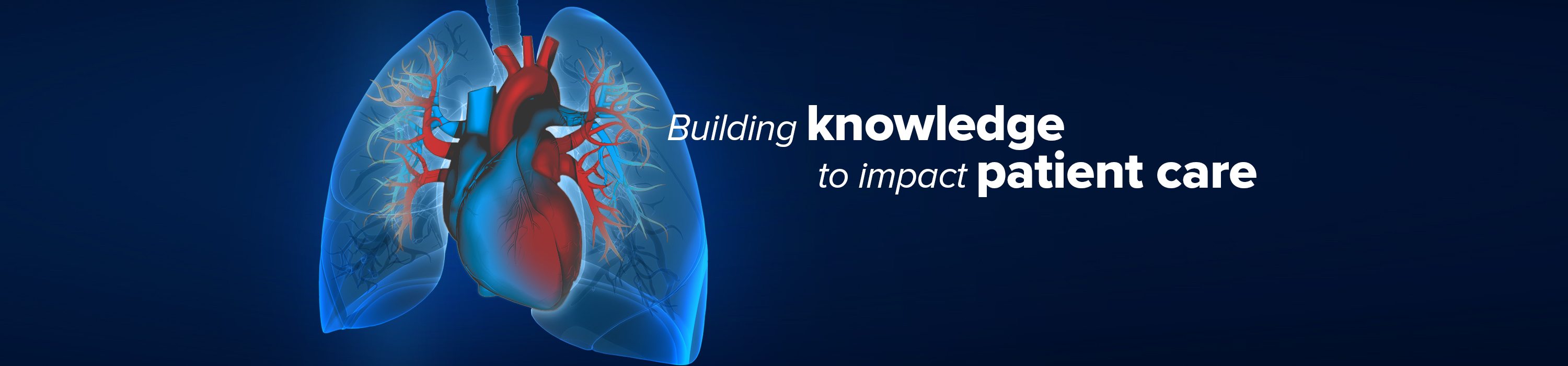 PAH Initiative, building knowledge to impact patient career