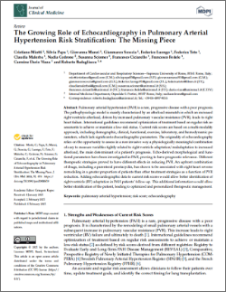 The Growing Role of Echocardiography in Pulmonary Arterial Hypertension Risk Stratification: The Missing Piece article thumbnail