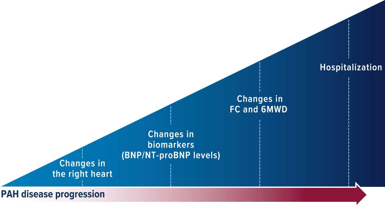 A graph showing the indicators of PAH disease progression