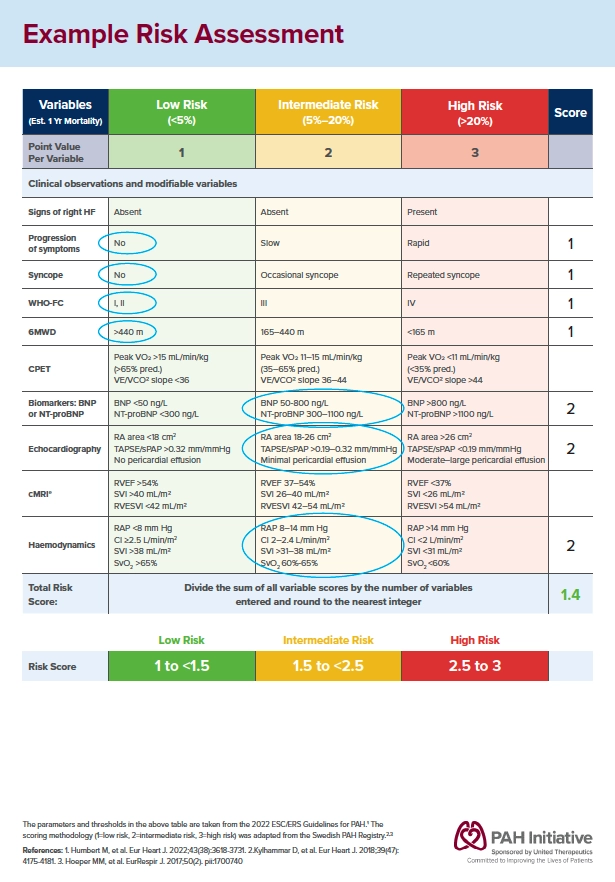 Sample risk assessment to facilitate patient and HCP conversations about risk