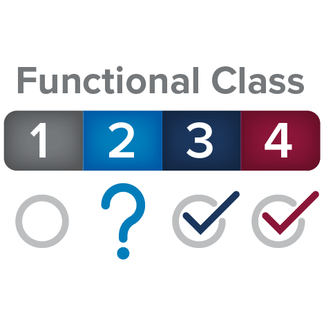 Functional Class 2 icon